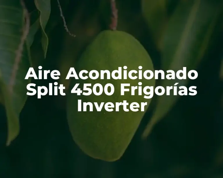 Aire Acondicionado Split 4500 Frigorías Inverter