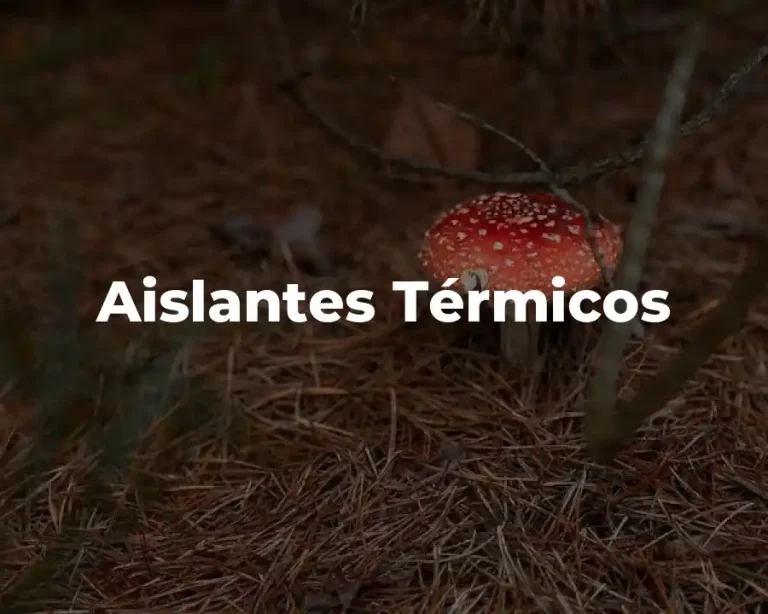 Aislantes Térmicos