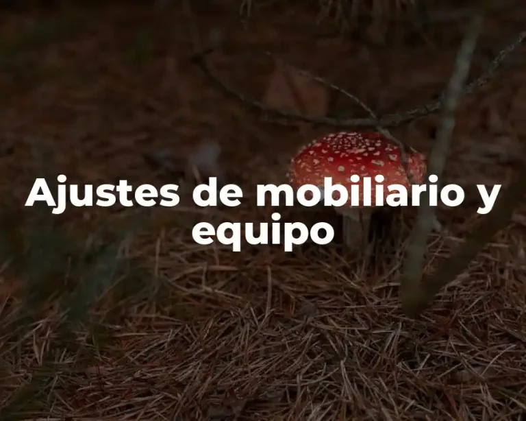 Ajustes de mobiliario y equipo