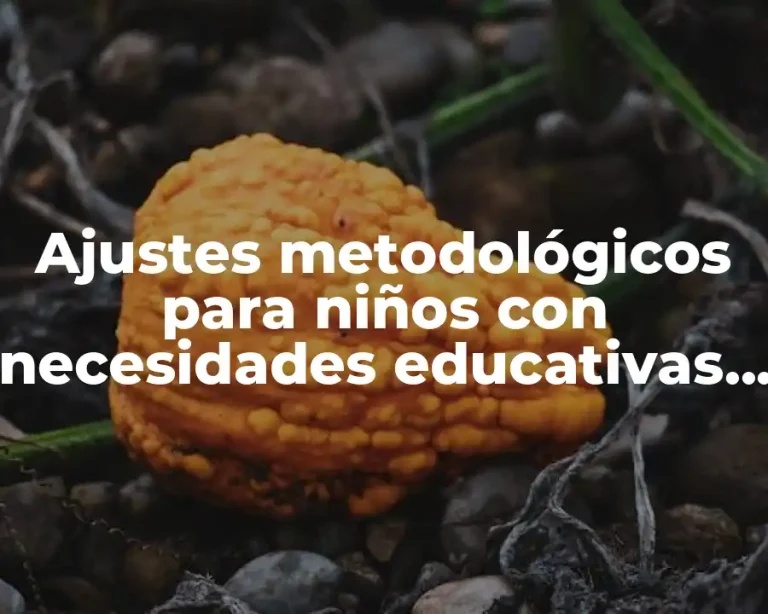 Ajustes metodológicos para niños con necesidades educativas especiales