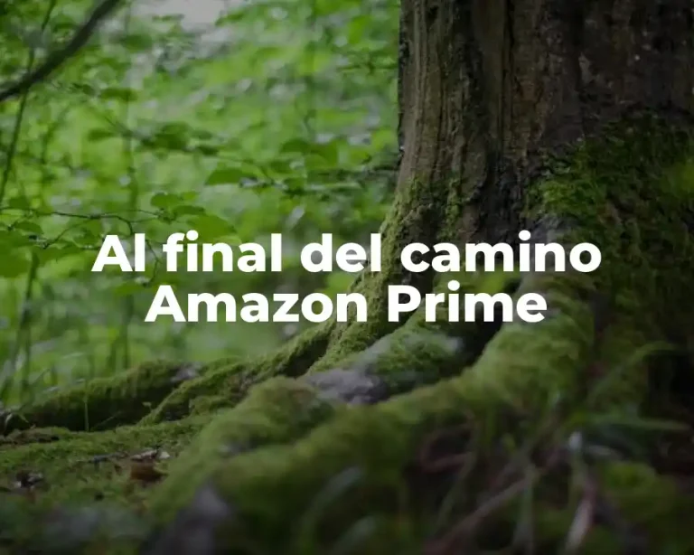 Al final del camino Amazon Prime
