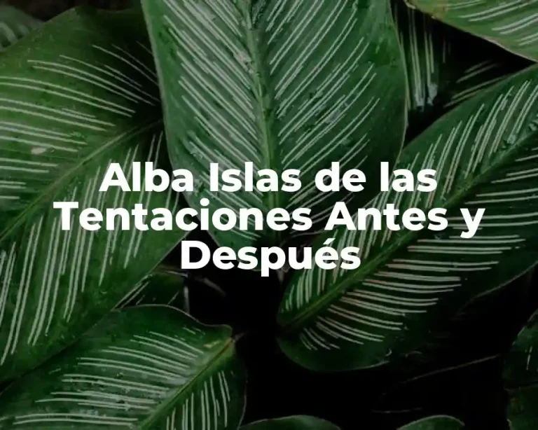 Alba Islas de las Tentaciones Antes y Después