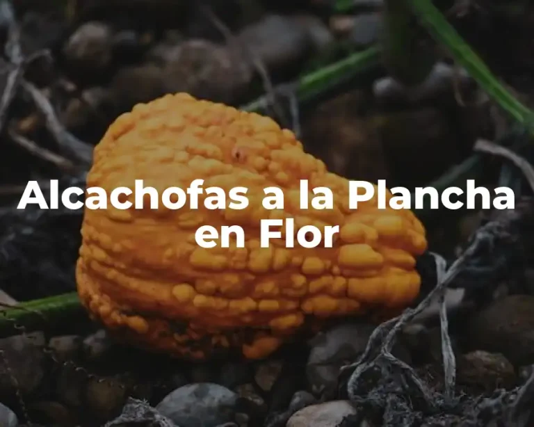 Alcachofas a la Plancha en Flor