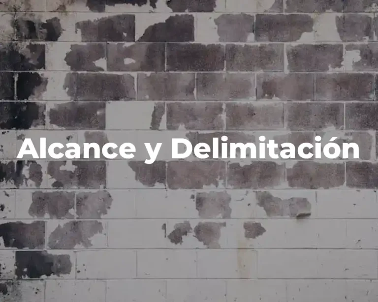 Alcance y Delimitación
