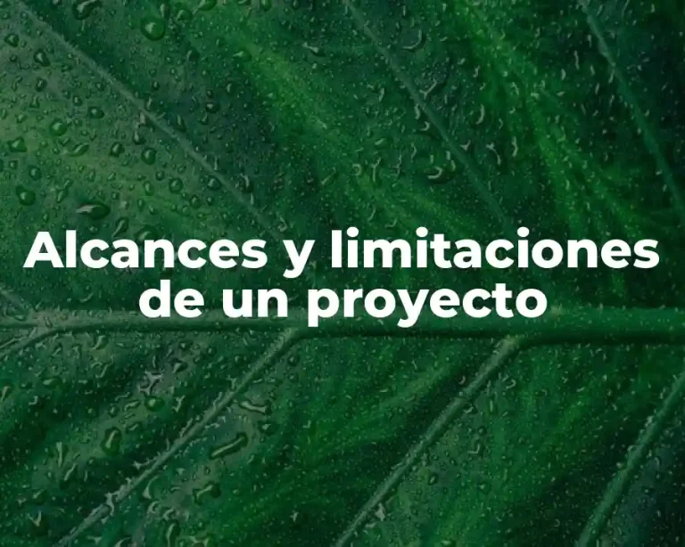 Alcances y limitaciones de un proyecto