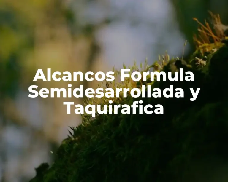 Alcancos Formula Semidesarrollada y Taquirafica