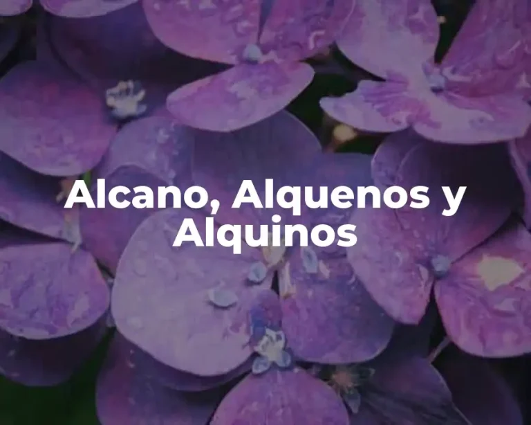Alcano, Alquenos y Alquinos