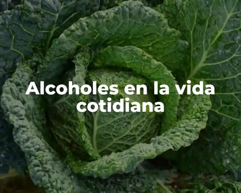 Alcoholes en la vida cotidiana