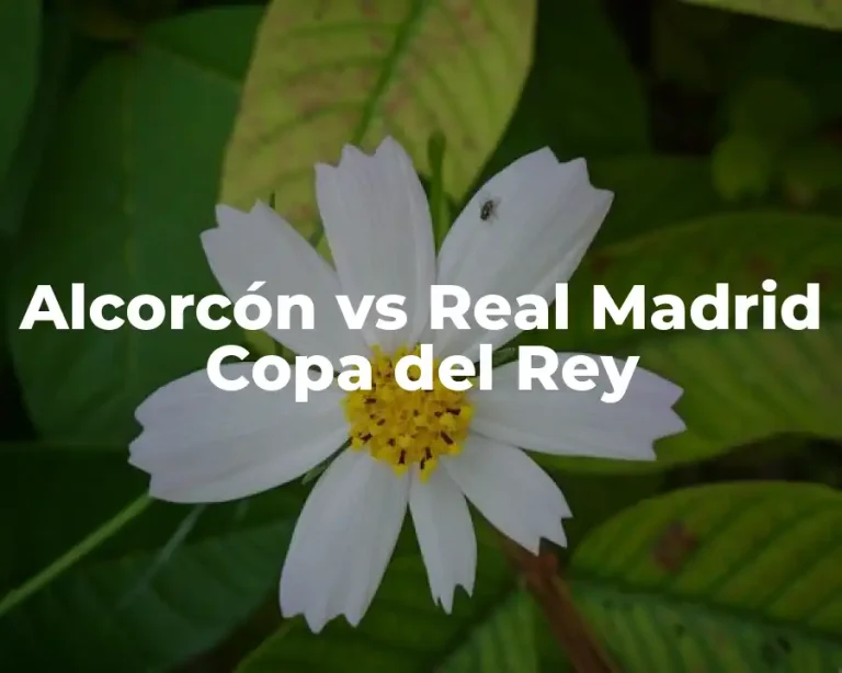 Alcorcón vs Real Madrid Copa del Rey
