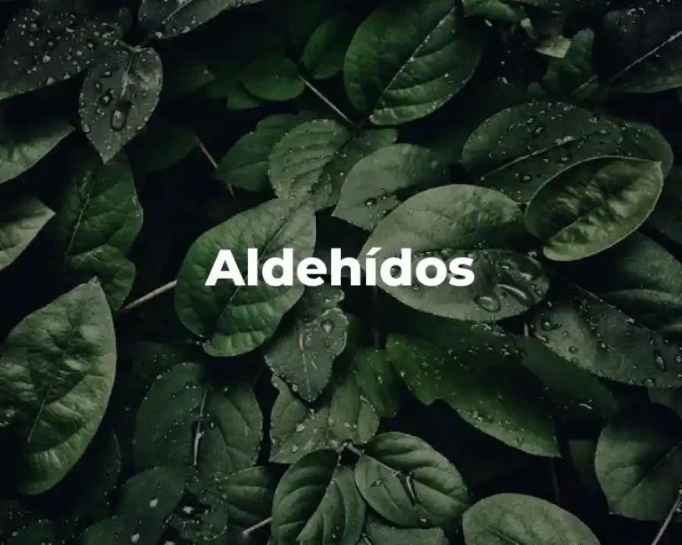 Aldehídos