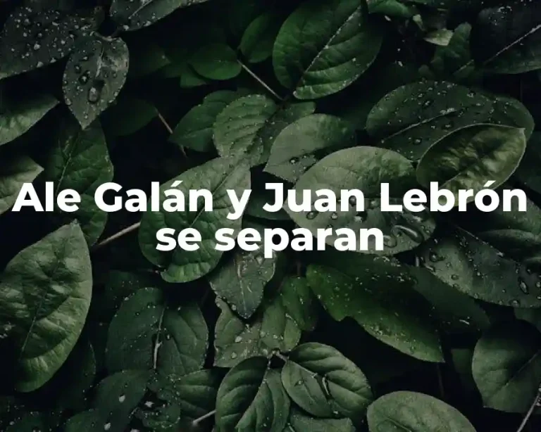 Ale Galán y Juan Lebrón se separan