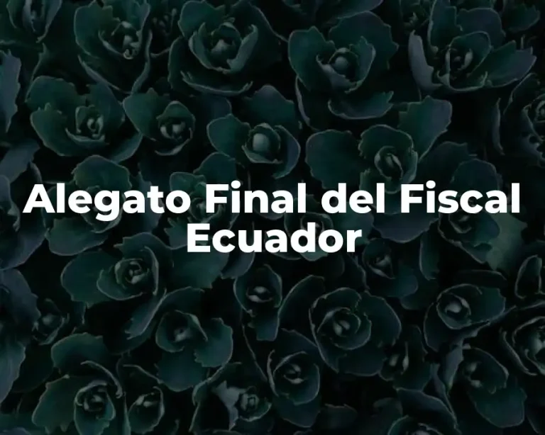 Alegato Final del Fiscal Ecuador