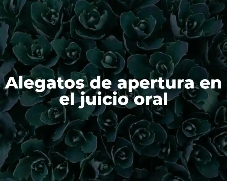 Alegatos de apertura en el juicio oral