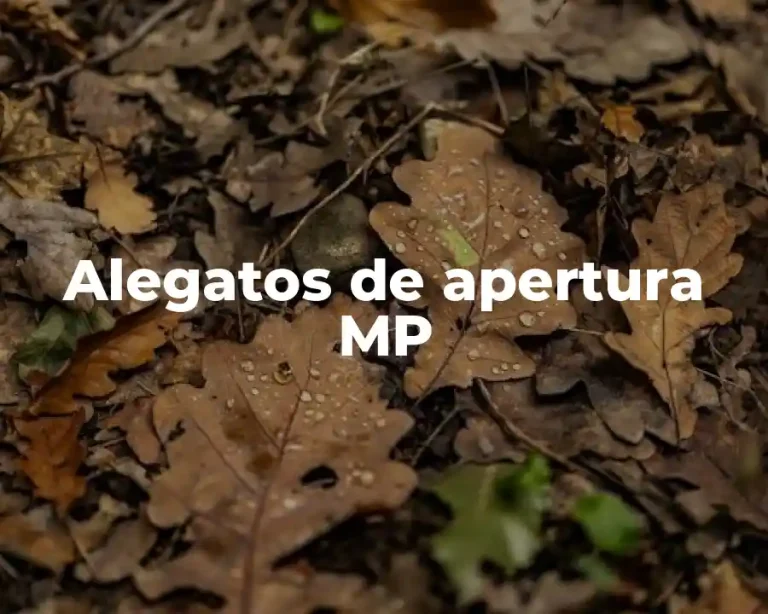 Alegatos de apertura MP