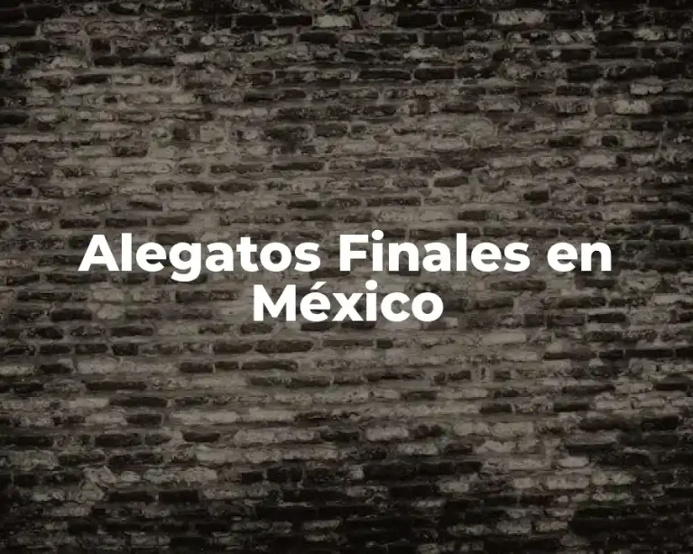 Alegatos Finales en México