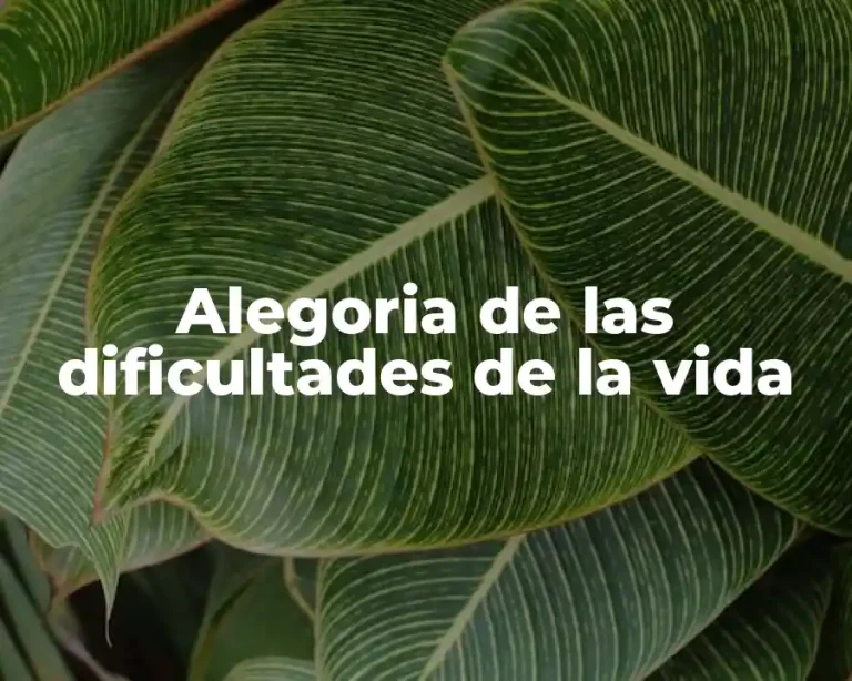 Alegoria de las dificultades de la vida