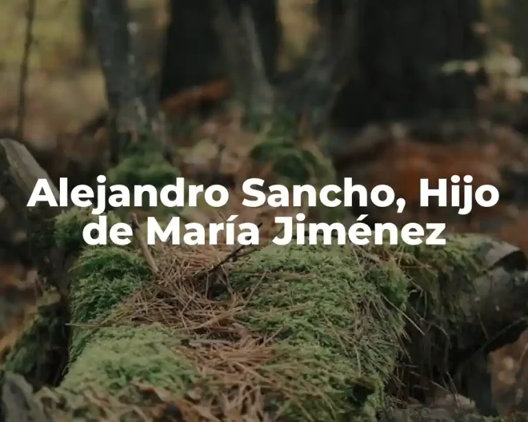 Alejandro Sancho, Hijo de María Jiménez