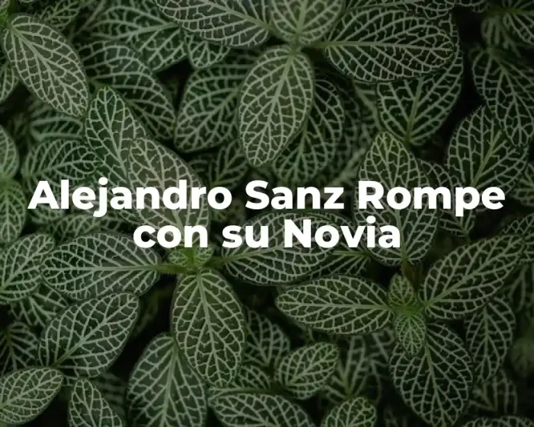Alejandro Sanz Rompe con su Novia