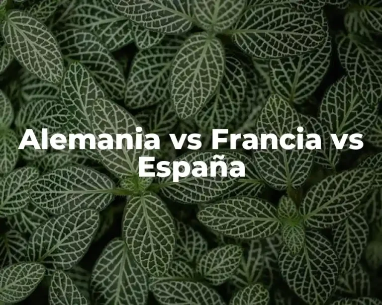 Alemania vs Francia vs España