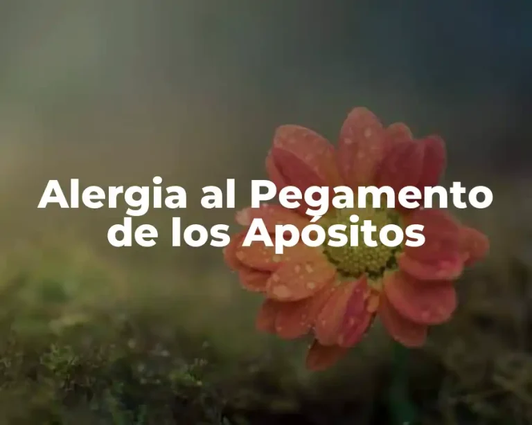Alergia al Pegamento de los Apósitos