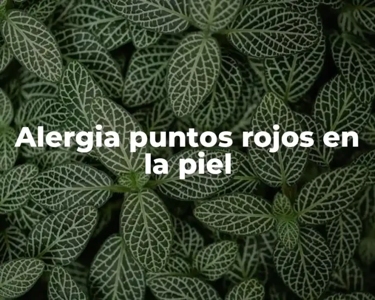 Alergia puntos rojos en la piel