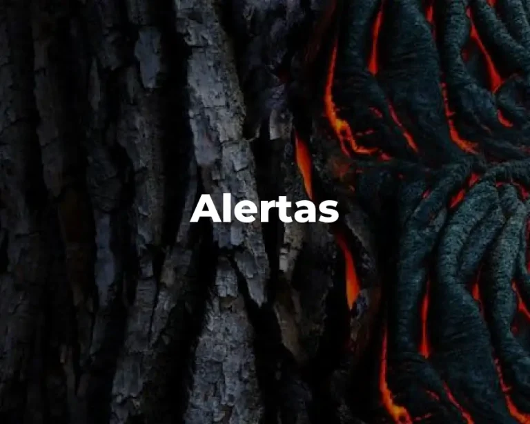Alertas