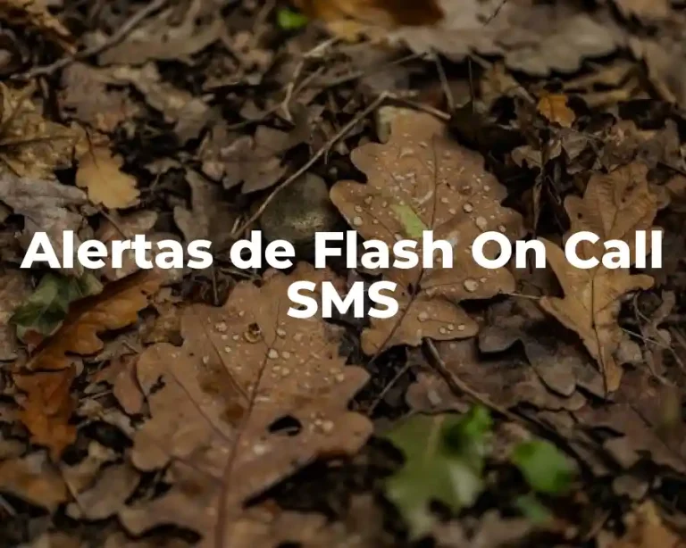 Alertas de Flash On Call SMS