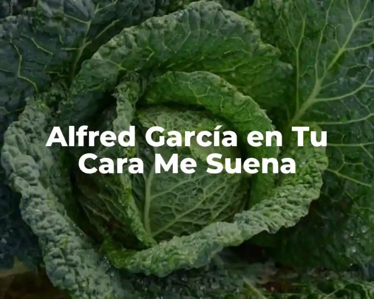 Alfred García en Tu Cara Me Suena