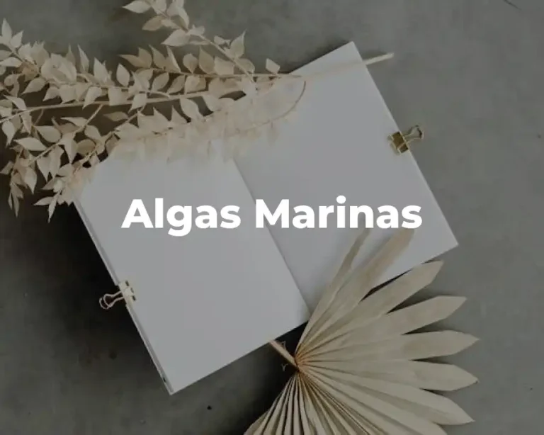 Algas Marinas