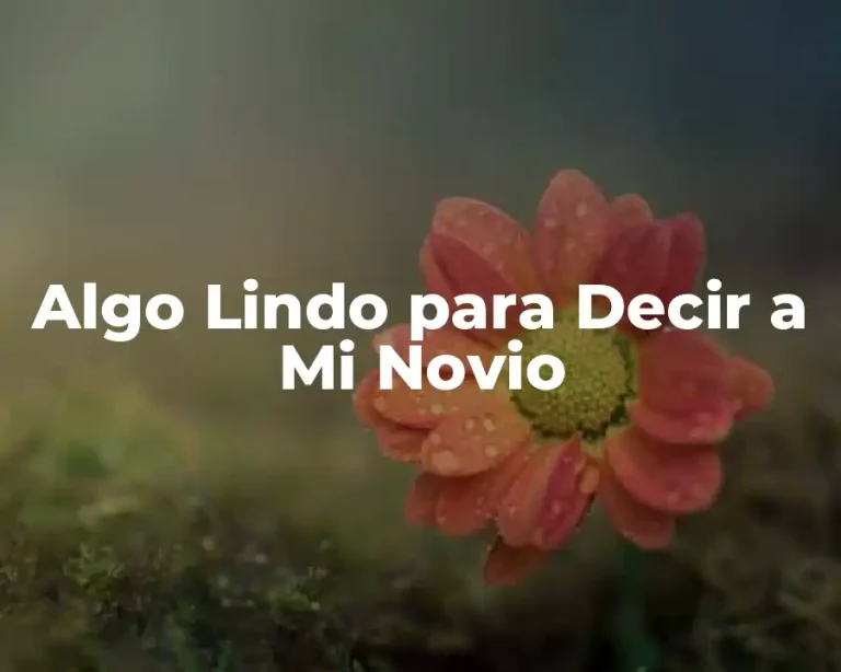 Algo Lindo para Decir a Mi Novio