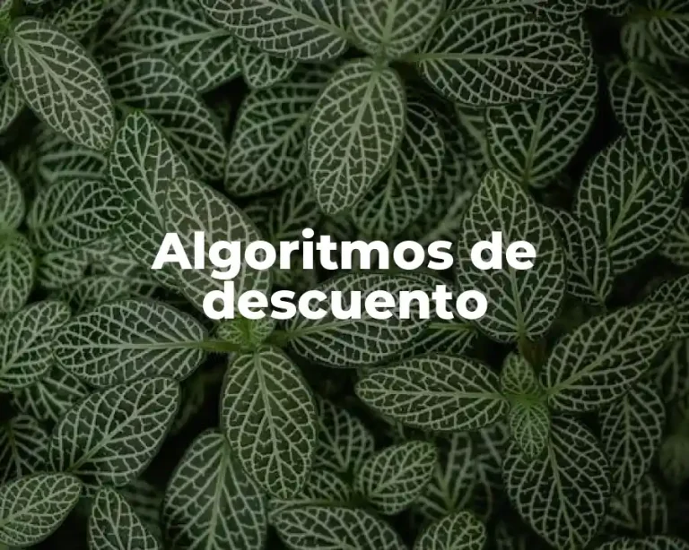 Algoritmos de descuento