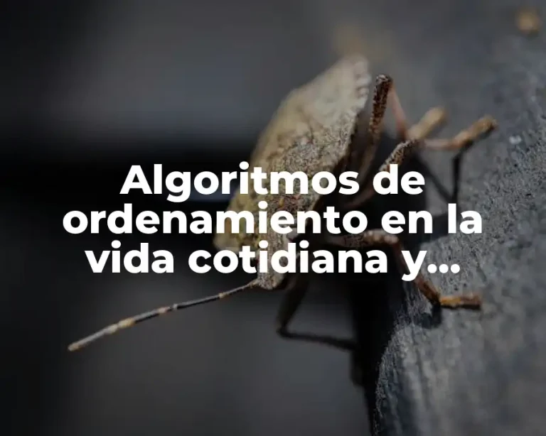 Algoritmos de ordenamiento en la vida cotidiana y Significado