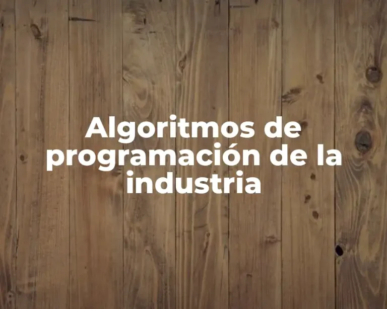 Algoritmos de programación de la industria