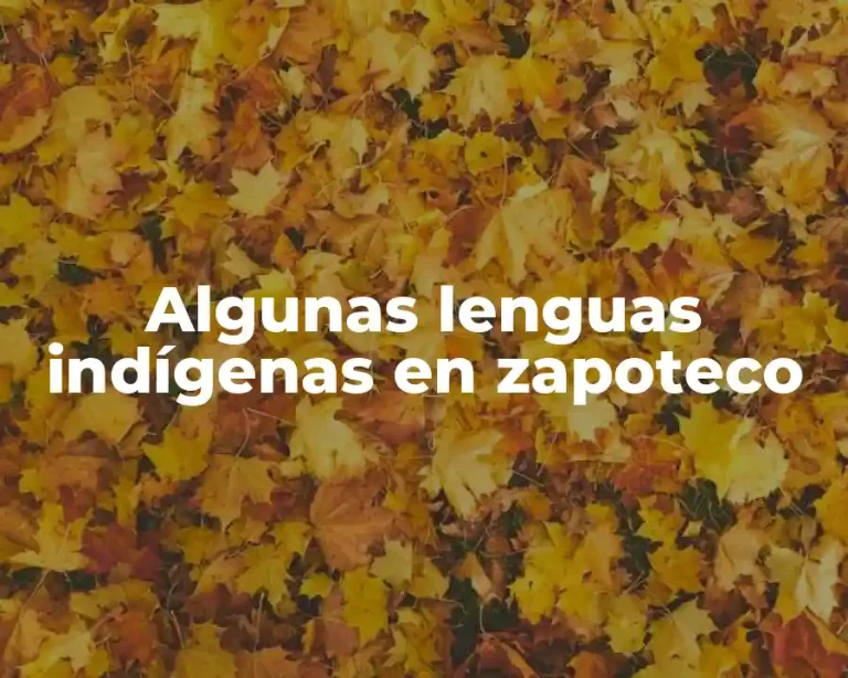 Algunas lenguas indígenas en zapoteco