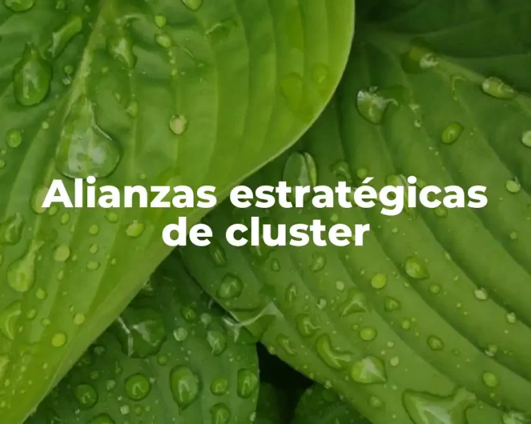 Alianzas estratégicas de cluster