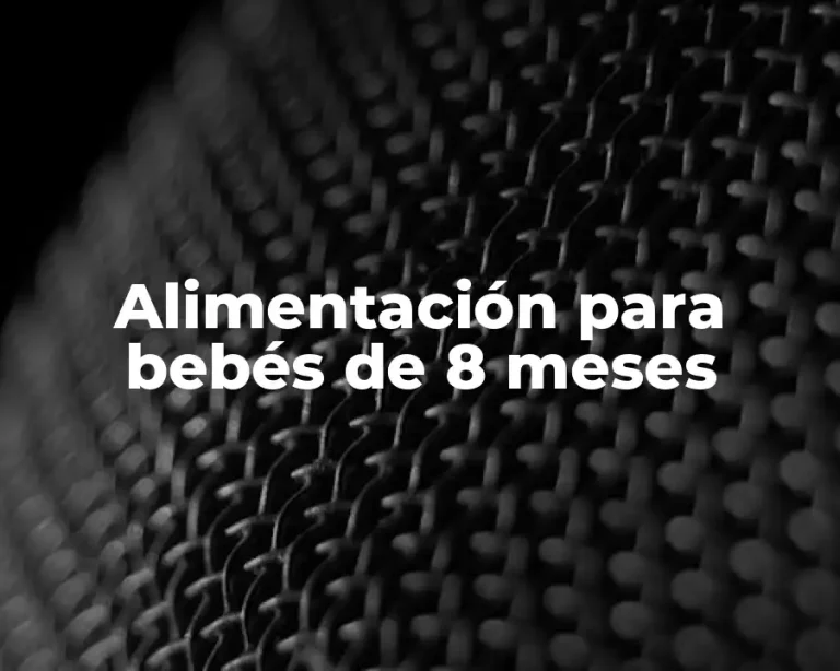Alimentación para bebés de 8 meses