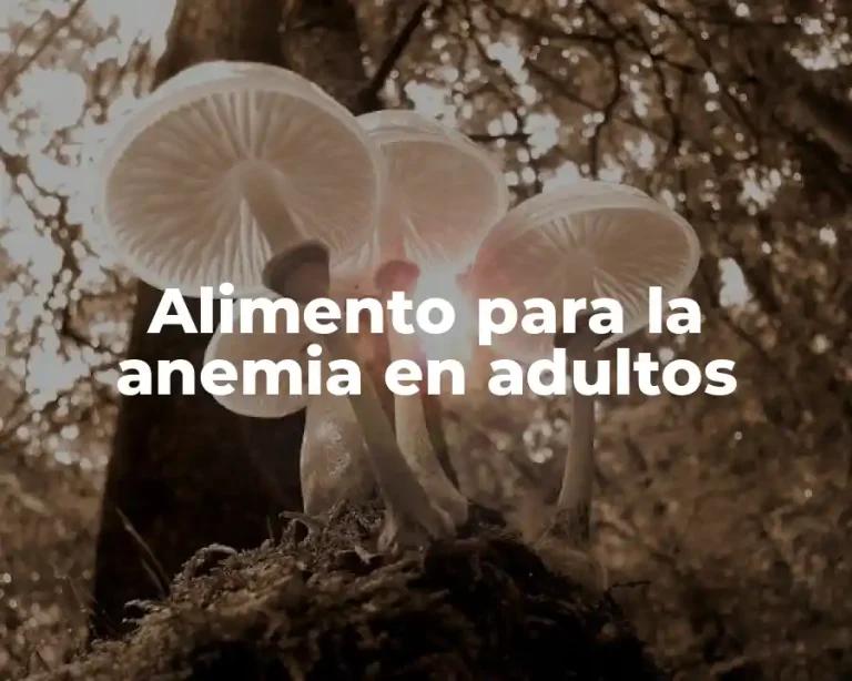 Alimento para la anemia en adultos