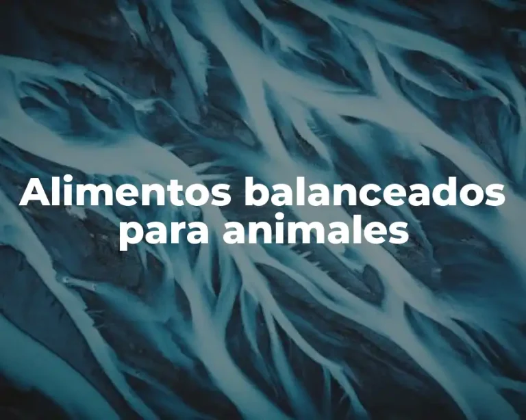 Alimentos balanceados para animales