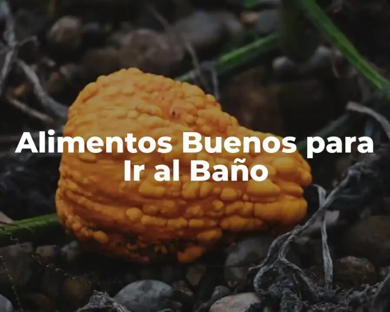 Alimentos Buenos para Ir al Baño