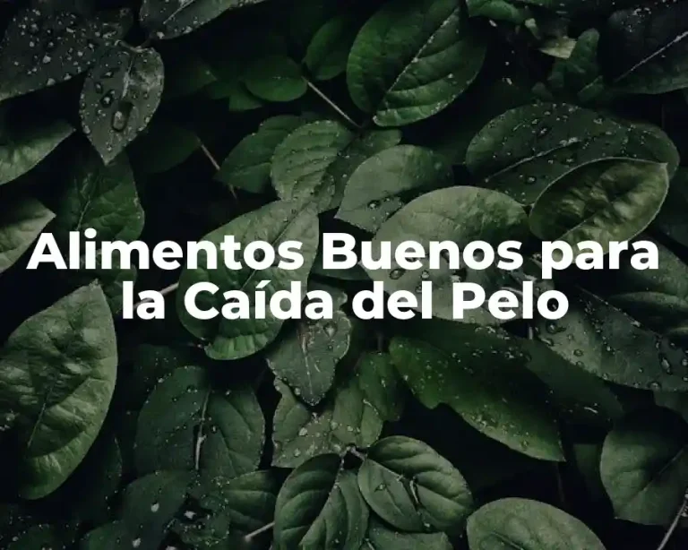 Alimentos Buenos para la Caída del Pelo