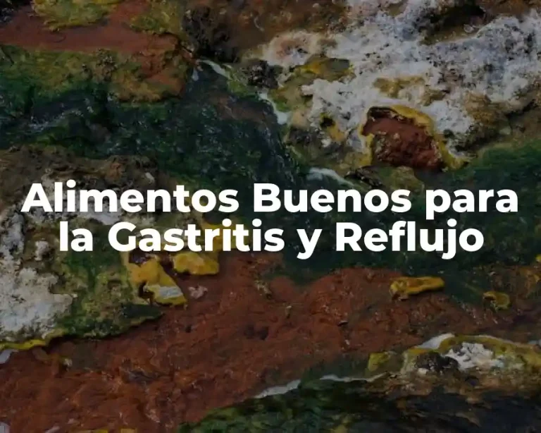Alimentos Buenos para la Gastritis y Reflujo