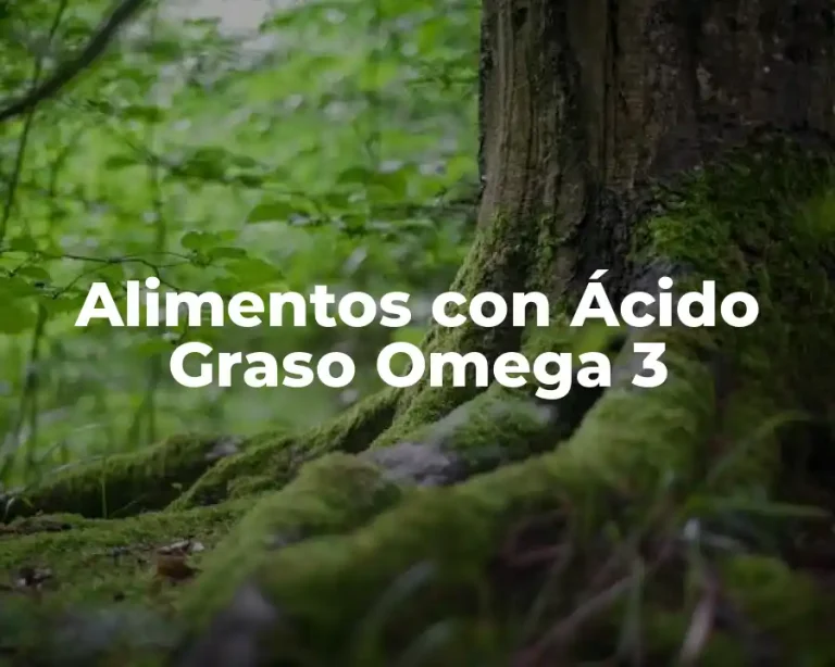 Alimentos con Ácido Graso Omega 3