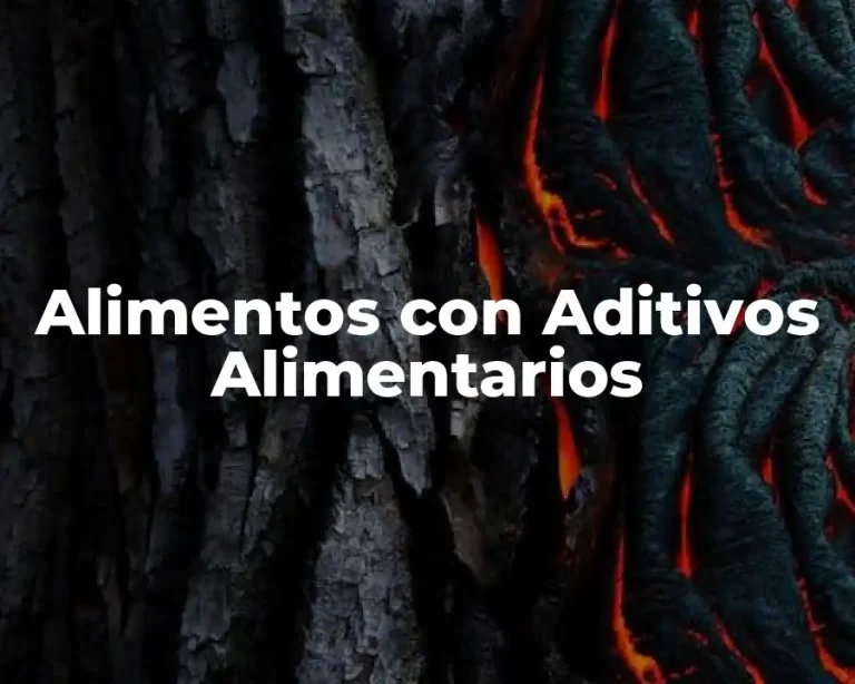 Alimentos con Aditivos Alimentarios