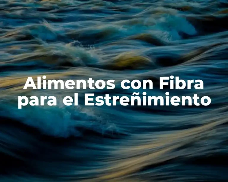 Alimentos con Fibra para el Estreñimiento