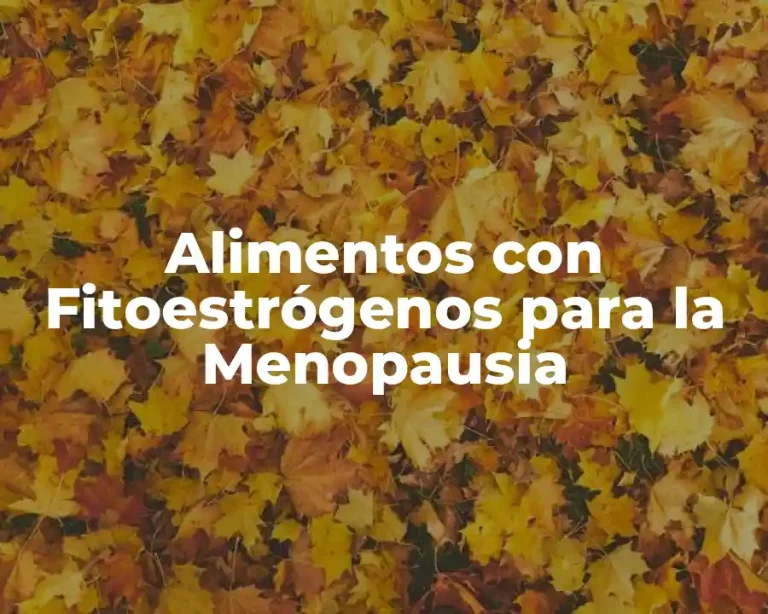 Alimentos con Fitoestrógenos para la Menopausia