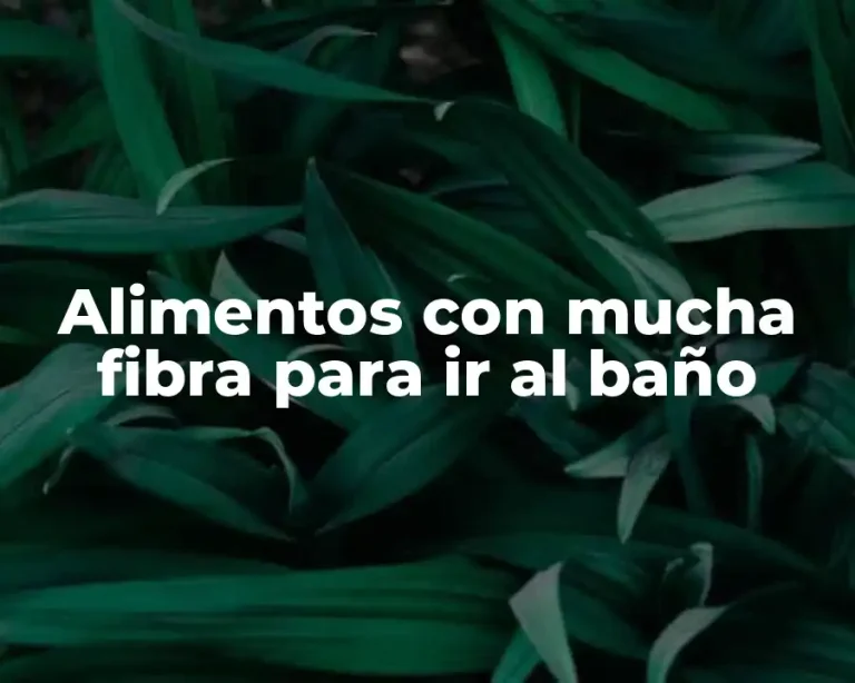 Alimentos con mucha fibra para ir al baño