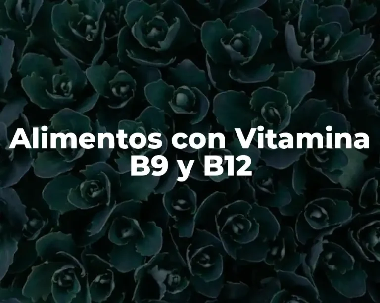 Alimentos con Vitamina B9 y B12