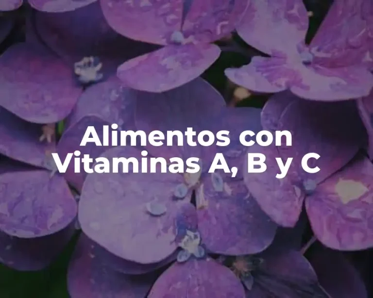 Alimentos con Vitaminas A, B y C