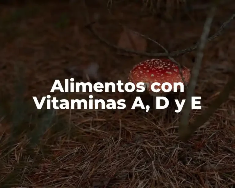 Alimentos con Vitaminas A, D y E