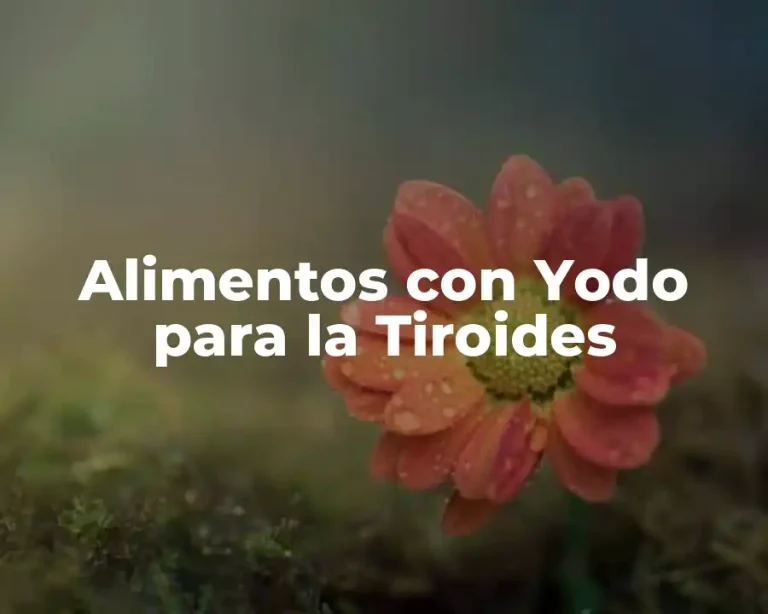 Alimentos con Yodo para la Tiroides